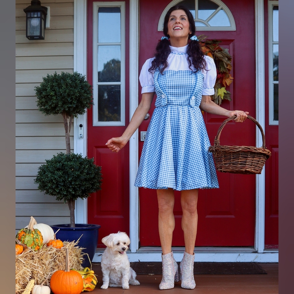 Dorothy Wizard Of Oz Costume